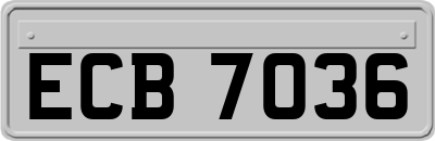 ECB7036