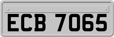 ECB7065