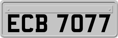 ECB7077
