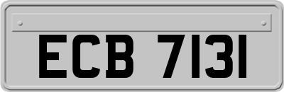 ECB7131