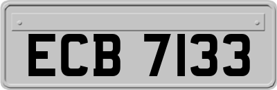 ECB7133