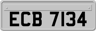 ECB7134