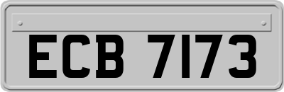 ECB7173