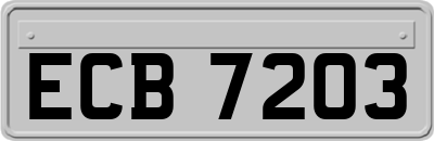 ECB7203