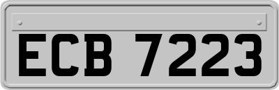 ECB7223