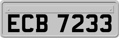 ECB7233