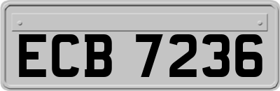 ECB7236