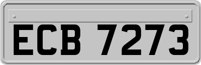 ECB7273