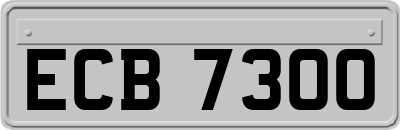 ECB7300