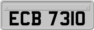 ECB7310