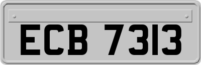 ECB7313