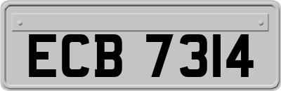 ECB7314