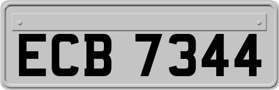ECB7344