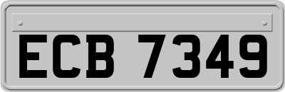 ECB7349