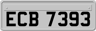 ECB7393