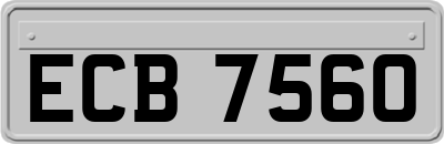 ECB7560