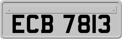ECB7813