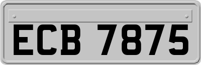 ECB7875