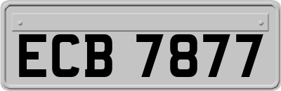 ECB7877