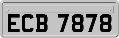 ECB7878