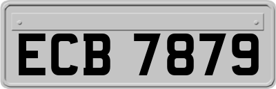 ECB7879