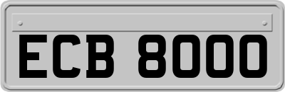 ECB8000