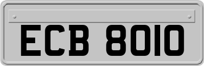 ECB8010