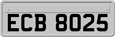 ECB8025