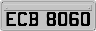 ECB8060