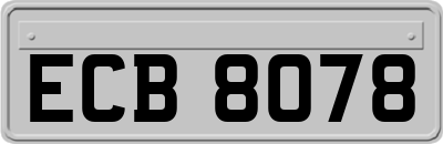 ECB8078