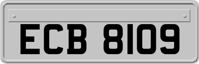 ECB8109