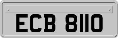 ECB8110