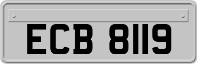 ECB8119