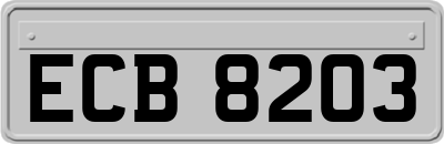 ECB8203