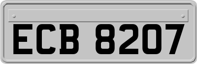 ECB8207
