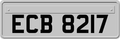 ECB8217