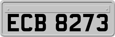 ECB8273
