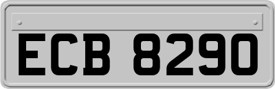 ECB8290
