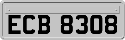 ECB8308