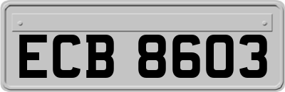 ECB8603