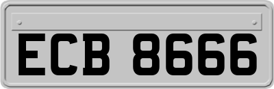 ECB8666