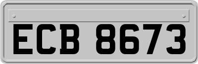 ECB8673