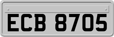ECB8705
