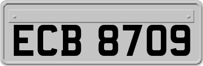 ECB8709
