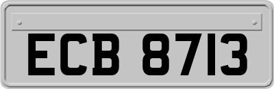 ECB8713