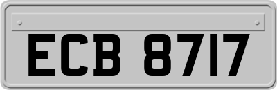 ECB8717