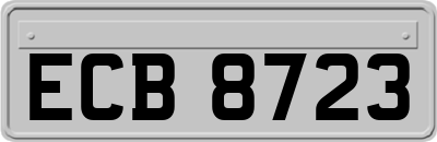 ECB8723
