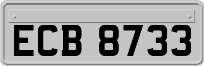 ECB8733