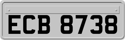 ECB8738