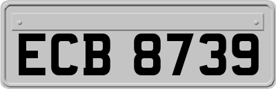 ECB8739